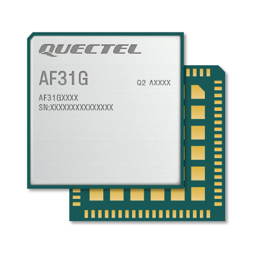AF31G